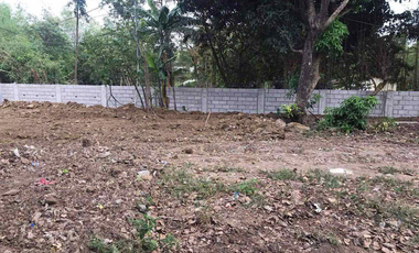 FOR LEASE - Commercial Vacant Lot in  Mahabang Parang, Valenzuela City
