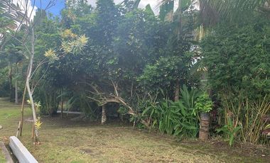 APARTMENT COMPLEX WITH POOL FOR SALE APARTMENT COMPLEX WITH POOL FOR SALE ID 14836