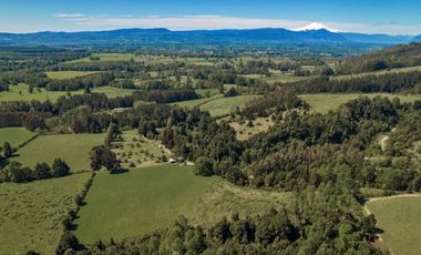 Campo 80 Hectareas, Colico