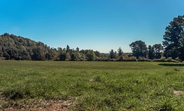 Campo 80 Hectareas, Colico