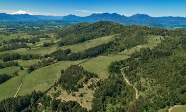 Campo 80 Hectareas, Colico