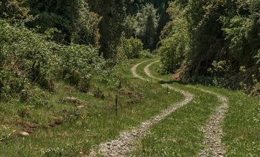 Campo 80 Hectareas, Colico