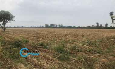 SE VENDE TERRENO EN CAÑETE – SECTOR SAN ISIDRO