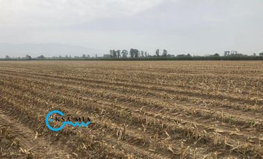 SE VENDE TERRENO EN CAÑETE – SECTOR SAN ISIDRO