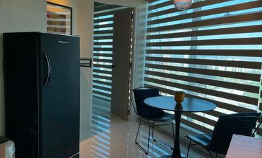 R507 - Fully Furnished 1BR The Currency Unit for Sale