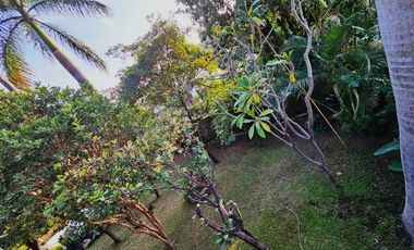 Renta / Venta Actores, Cuernavaca