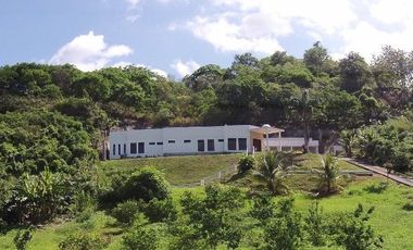 ¡Gran oportunidad para vivir bien! 🌿  Se vende  o se arrienda casa con un lote de 2 hectáreas