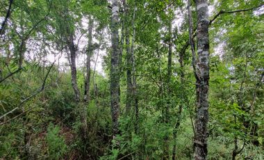 Hermosa Parcela Loteo Cumbres de Paillao