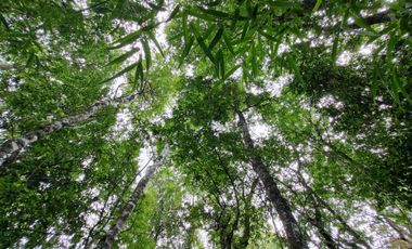 Hermosa Parcela Loteo Cumbres de Paillao