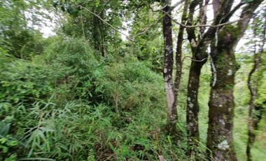 Hermosa Parcela Loteo Cumbres de Paillao