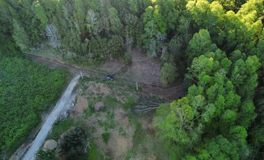 se venden parcelas en Lago Ranco a pasos del Lago