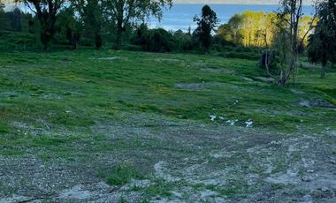 se venden parcelas en Lago Ranco a pasos del Lago