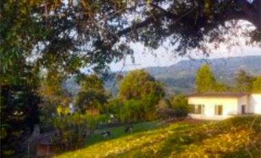 VENDO LOTES Urbanos en ARBELÁEZ Cundinamarca.