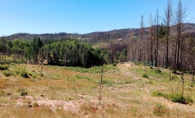 Terreno Comuna Santa Juana