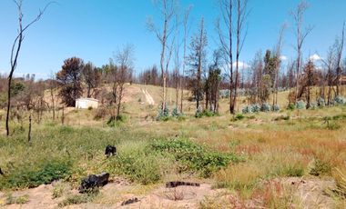 Terreno Comuna Santa Juana