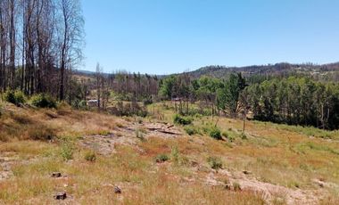 Terreno Comuna Santa Juana