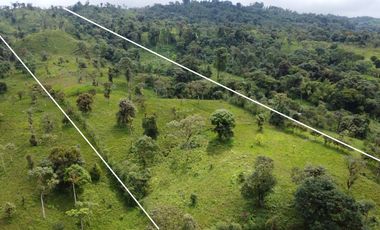 VENDO FINCA PARA PROYECTO EN LOS BANCOS