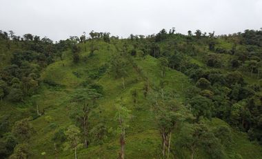 VENDO FINCA PARA PROYECTO EN LOS BANCOS