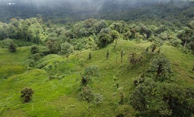 VENDO FINCA PARA PROYECTO EN LOS BANCOS
