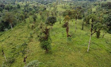 VENDO FINCA PARA PROYECTO EN LOS BANCOS