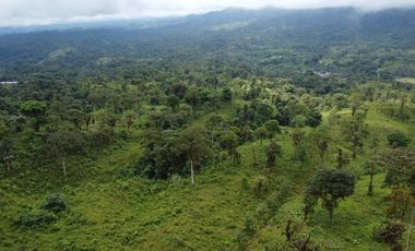 VENDO FINCA PARA PROYECTO EN LOS BANCOS