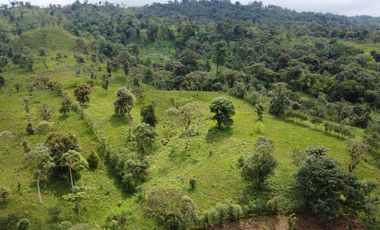 VENDO FINCA PARA PROYECTO EN LOS BANCOS