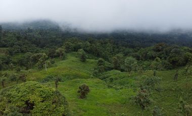 VENDO FINCA PARA PROYECTO EN LOS BANCOS
