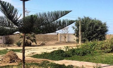 Venta de Terreno Excelente Ubicación sobre antigua Panamericana en Grocio Prado,  Chincha