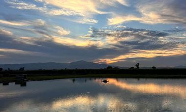 VENTA DE TERRENOS RESIDENCIALES  EN AMECA / CUVALLES
