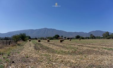 Terreno en Venta en Ixtlahuacán de los Membrillos