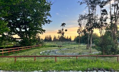 PARCELA, HACIENDA CHAMIZA, CHAMIZA, PUERTO MONTT