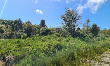 PARCELA, HACIENDA CHAMIZA, CHAMIZA, PUERTO MONTT