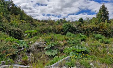 PARCELA, HACIENDA CHAMIZA, CHAMIZA, PUERTO MONTT