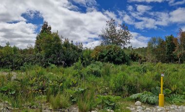 PARCELA, HACIENDA CHAMIZA, CHAMIZA, PUERTO MONTT
