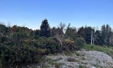 PARCELA, HACIENDA CHAMIZA, CHAMIZA, PUERTO MONTT