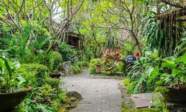 HOTEL BINTANG 3 DIJUAL CEPAT DI JOGJA