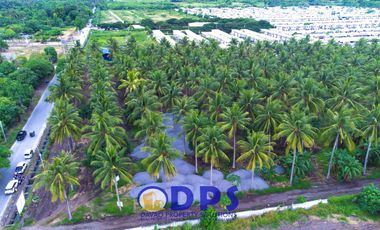 Soon to Rise in Conel Road Barangay San Isidro General Santos City | Carmelina Estates