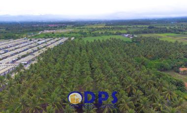 Soon to Rise in Conel Road Barangay San Isidro General Santos City | Carmelina Estates