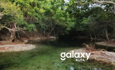 TANAH PUNGKIT PULAU MOYO SUMBAWA, NTB