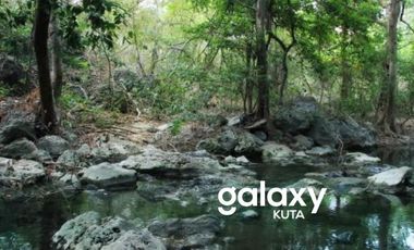 TANAH PUNGKIT PULAU MOYO SUMBAWA, NTB