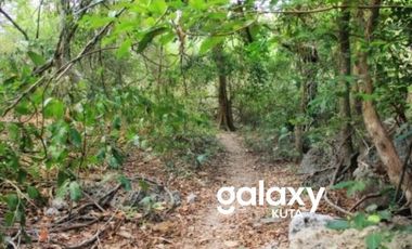 DIJUAL TANAH LABUAN BADAS PULAU MOYO SUMBAWA, NTB