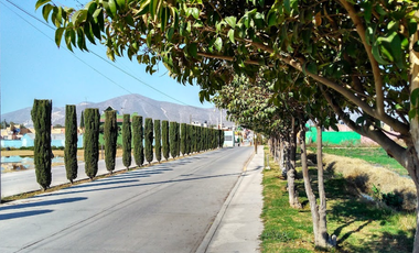 GRAN OPORTUNIDAD, VENTA DE CASA EN FRACC. MAGISTERIO, ACTOPAN HIDALGO