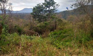 Oportunidad VENDO FINCA con CASA en PANDI Cundinamarca  A solo 7 kilómetros del BOQUERÓN