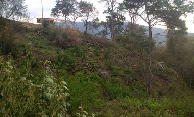 Oportunidad VENDO FINCA con CASA en PANDI Cundinamarca  A solo 7 kilómetros del BOQUERÓN