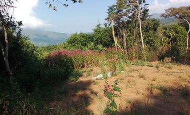 Oportunidad VENDO FINCA con CASA en PANDI Cundinamarca  A solo 7 kilómetros del BOQUERÓN