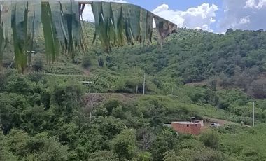 VENDO FINCA en PANDI con CABAÑA a solo 7 kilómetros del BOQUERÓN