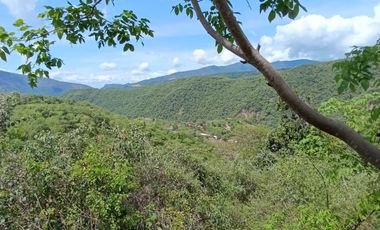 VENDO FINCA en PANDI con CABAÑA a solo 7 kilómetros del BOQUERÓN