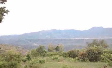 VENDO FINCA en PANDI con CABAÑA a solo 7 kilómetros del BOQUERÓN