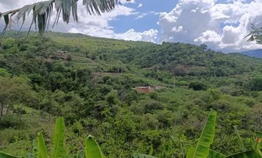 VENDO FINCA 7 Hectáreas en PANDI Cundinamarca.