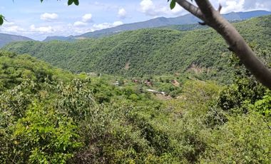 VENDO FINCA 7 Hectáreas en PANDI Cundinamarca.